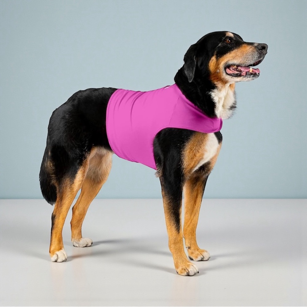 🐾 Mellow Out! XL Dog Anxiety Shirt | Radiant Orchid | Calming + Cozy - Picture 2 of 7